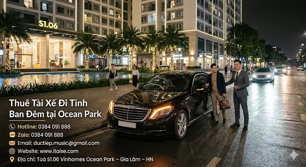 tai-xe-di-tinh-ban-dem-ocean-park.jpg